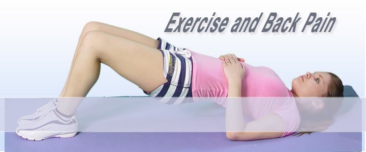 Click for Step by Step guides to Back Exercises